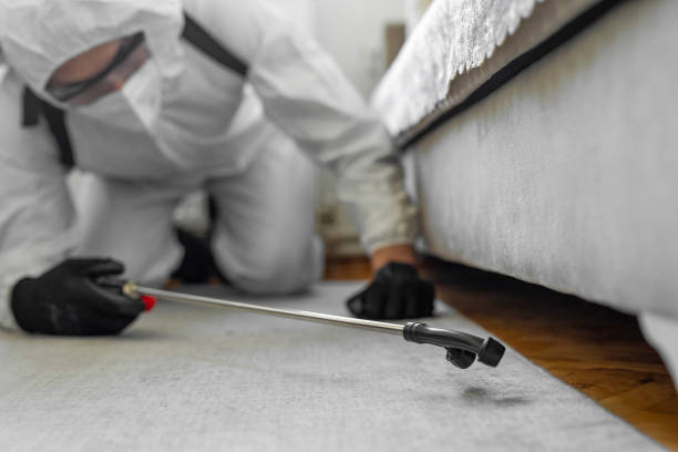 Professional Termite Control technician working in Valinda, CA