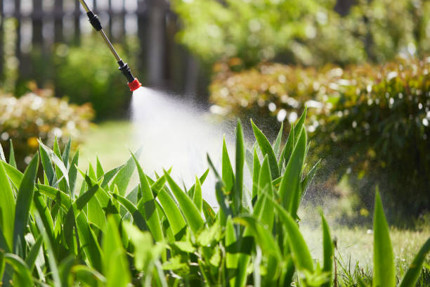 24/7 Emergency Termite Control experts in Valinda, CA